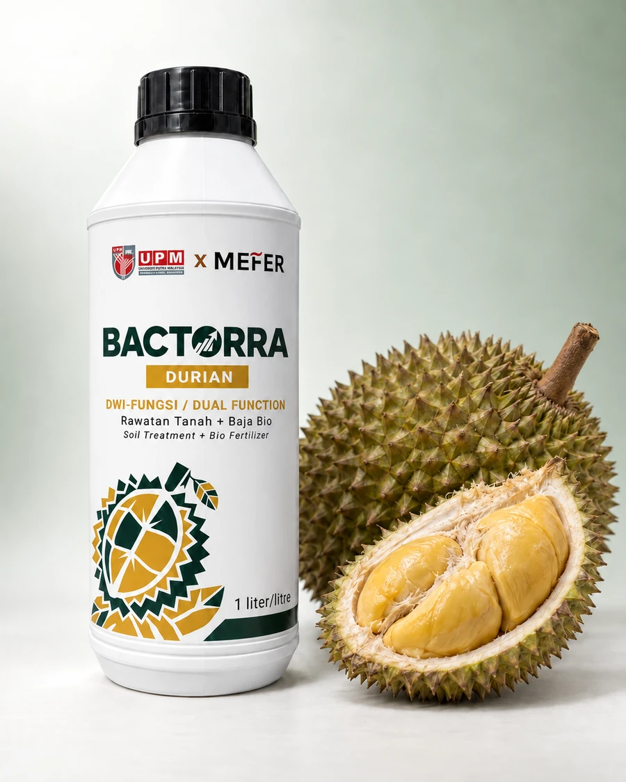 Botol Bactorra Durian bersama buah durian