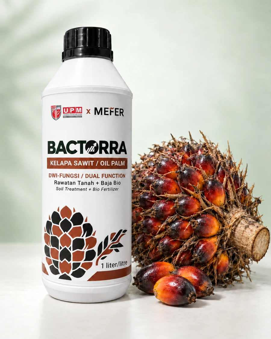 Botol Bactorra Sawit bersama tandan kelapa sawit
