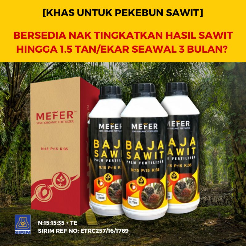 baja sawit mefer palm oil (1)