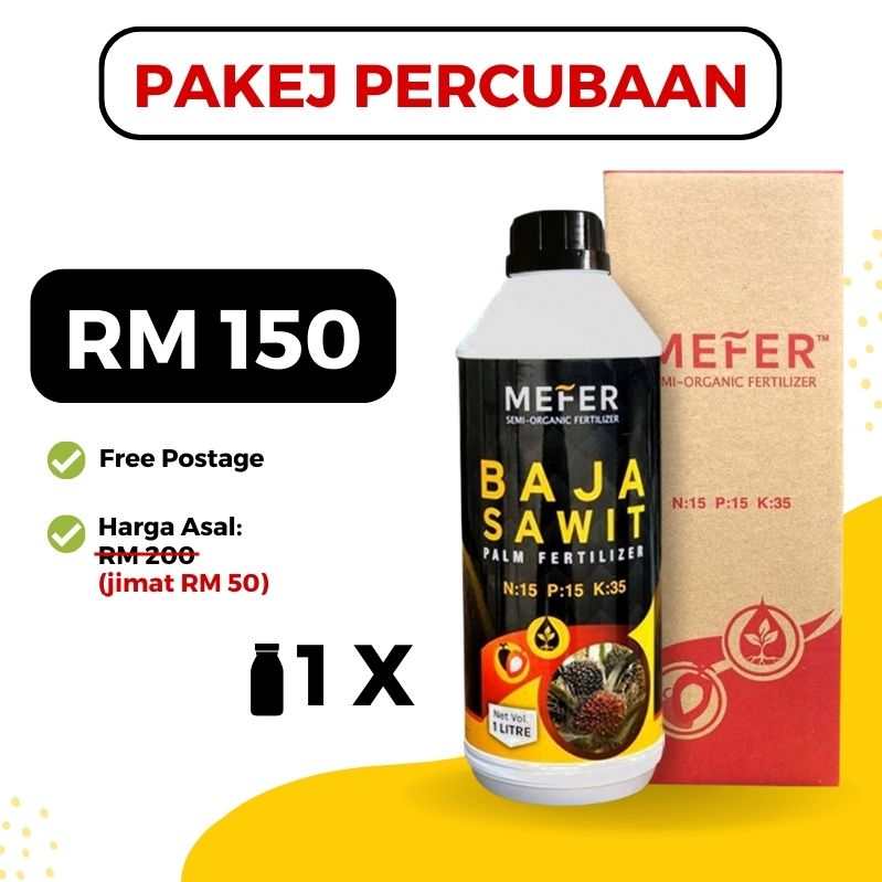 baja sawit mefer palm oil (13)
