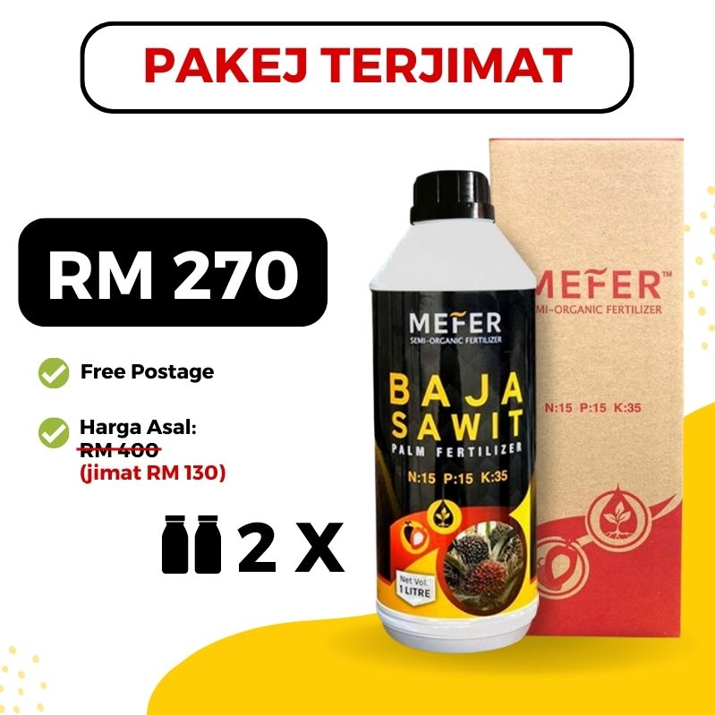 baja sawit mefer palm oil (14)