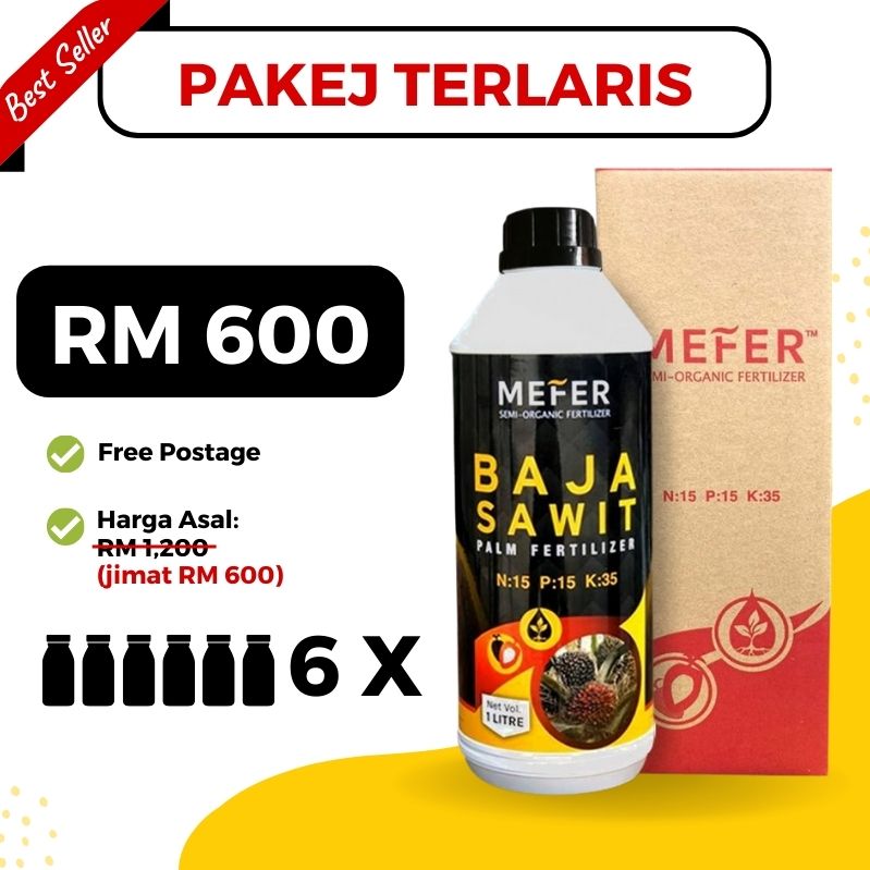 baja sawit mefer palm oil (15)