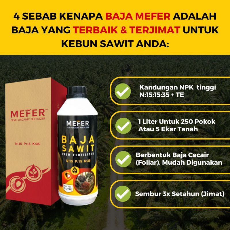 baja sawit mefer palm oil (3)