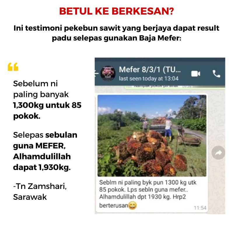 baja sawit mefer palm oil (4)