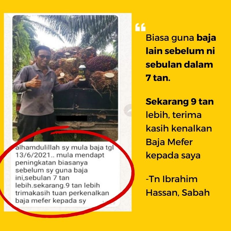 baja sawit mefer palm oil (7)