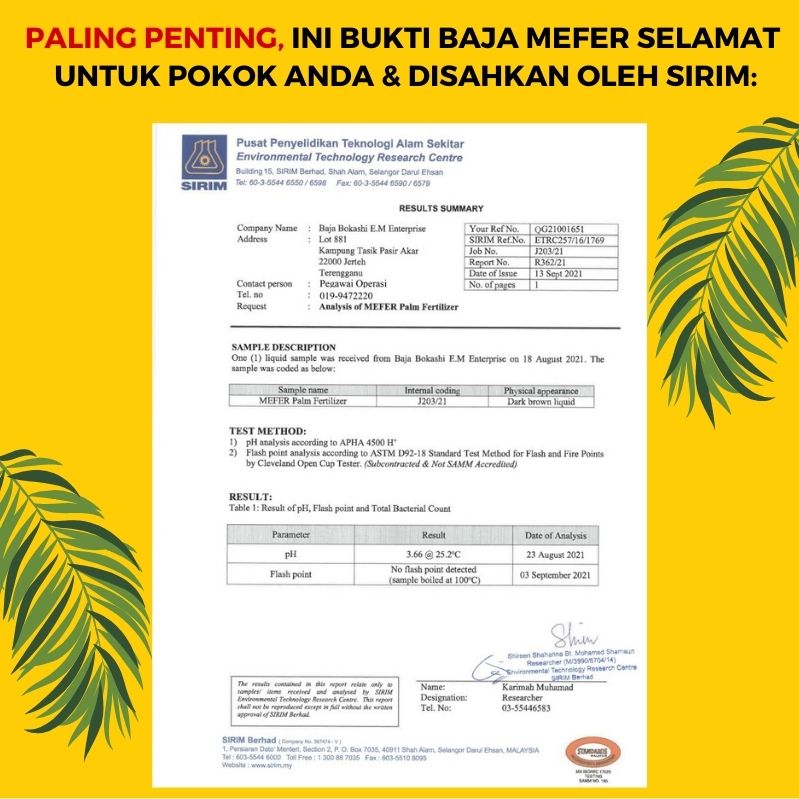 baja sawit mefer palm oil (8)