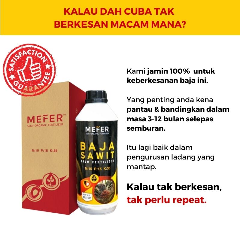 baja sawit mefer palm oil (9)
